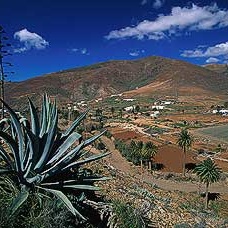Fuerteventura